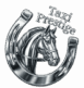 Logo Taxi Prestige en chrome : tête de cheval élégante dans un fer à cheval brillant. Luxe et transport haut de gamme.